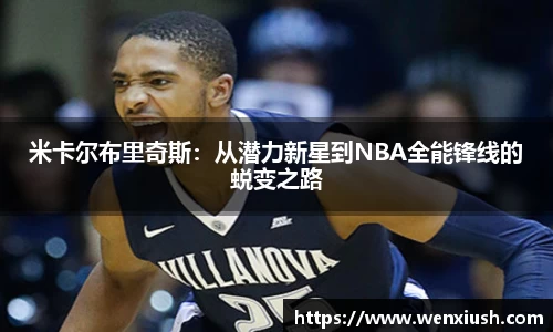 先锋娱乐官网入口