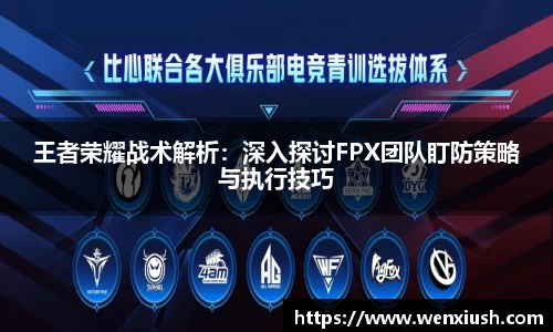王者荣耀战术解析：深入探讨FPX团队盯防策略与执行技巧